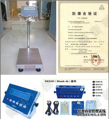 防爆電子黄瓜影院污免费下载